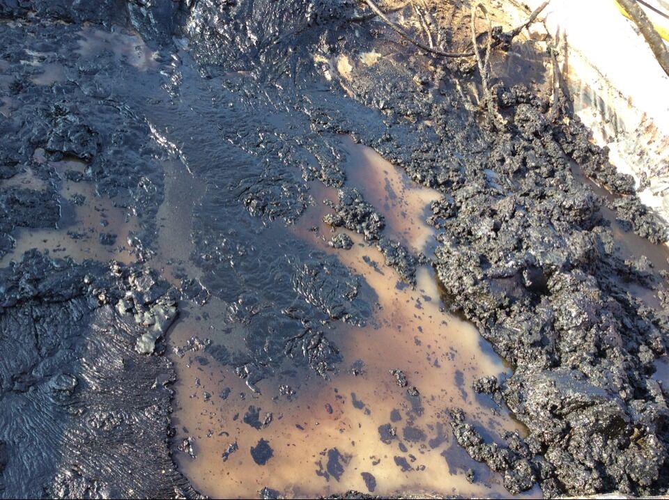 凸轮转水蜜桃黄色网站耐磨损耐腐蚀可以输送含油污水等复杂成分介质