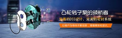 凸轮水蜜桃黄色网站解决渣浆泵存在的问题